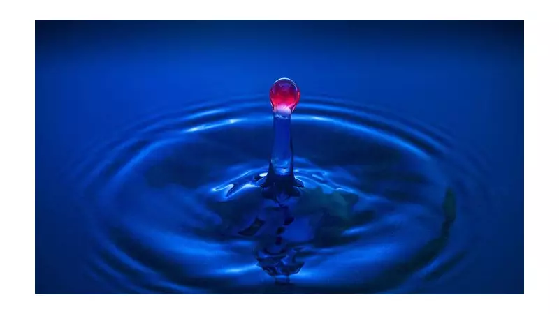 Caerphilly Duo's Photographic Triumph: Grandfather and Granddaughter Secure Prestigious Awards Recognition