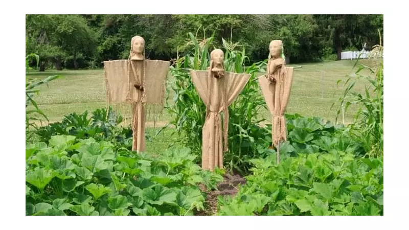 Revive Your Small Garden: Ancient 'Three Sisters' Method Boosts Harvests Naturally