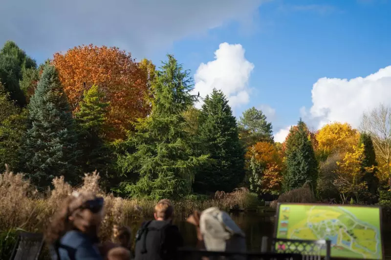 Severn Valley's Autumn Spectacle: Your Ultimate Guide to Seasonal Magic