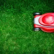 Final Lawn Cut of the Year: UK Households Face Critical October Deadline