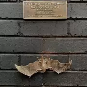 Ozzy Osbourne's Infamous Bat-Biting Mystery Finally Solved After 42 Years