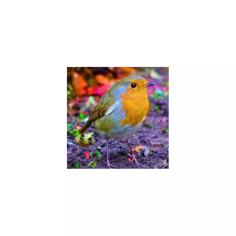 10-Minute Garden Task in November Keeps Robins Flocking