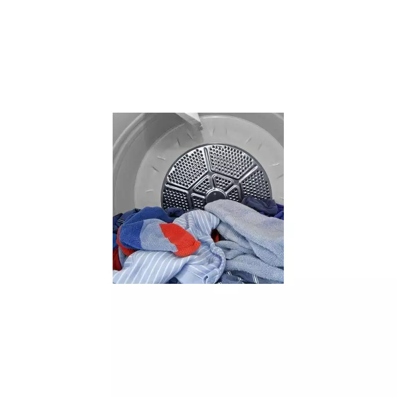 10-Second Tumble Dryer Hack Saves UK Households £131 on Energy Bills