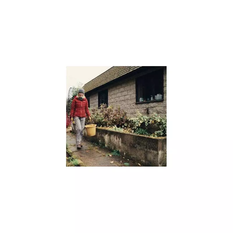 5 Plants to Cover Before Winter Frost Hits, Say Garden Experts