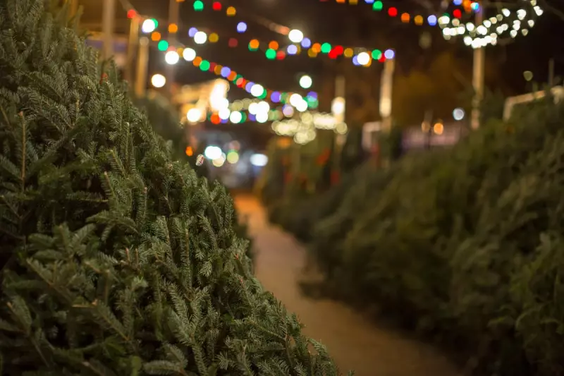 7 Best West Midlands Farm Shops for Festive Food & Christmas Trees