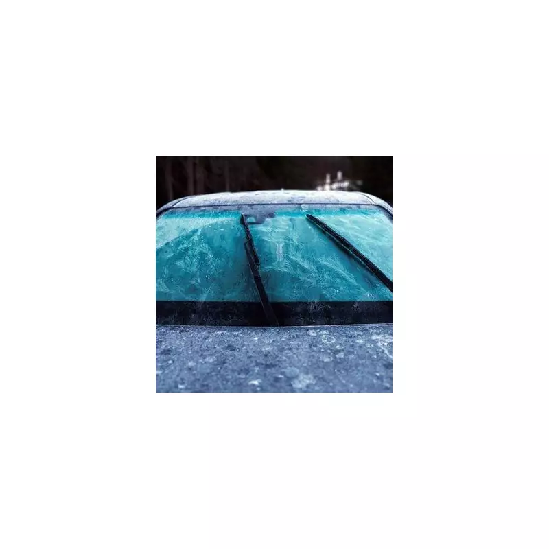 AA's Top Winter Driving Tip: The Only Safe Way to Defrost Your Car