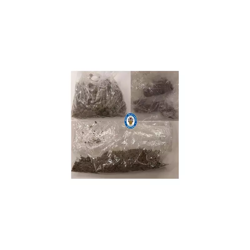 Birmingham Police Seize £Thousands of Cannabis in Stockland Green Raid