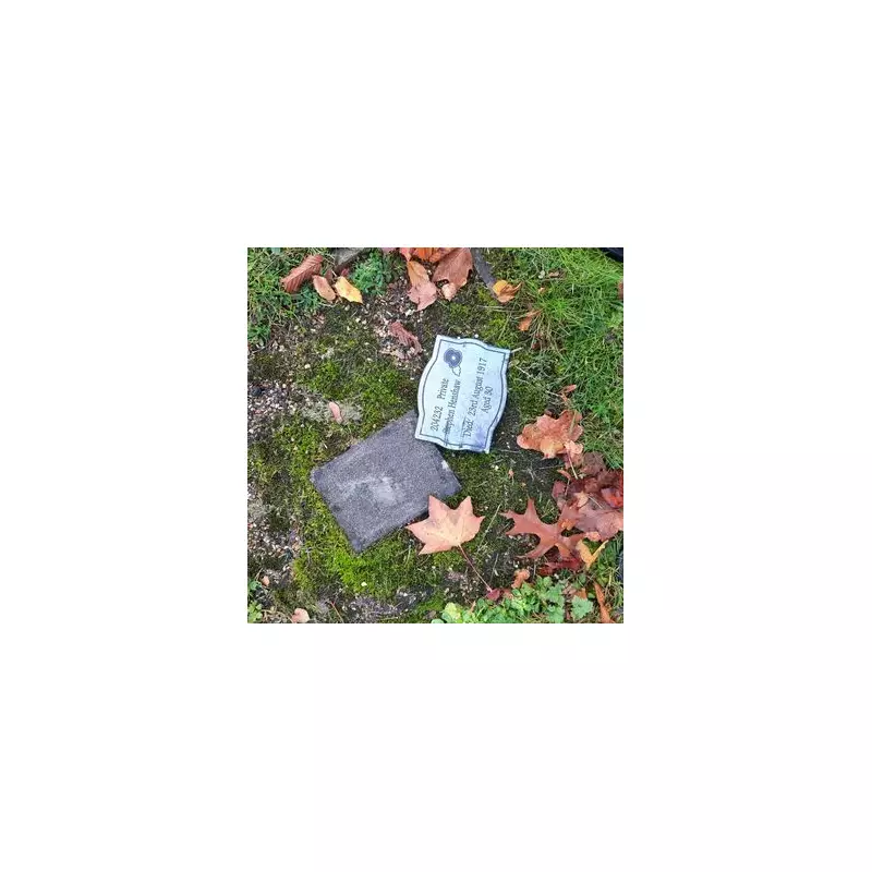 Birmingham War Memorial Vandalised: Outrage as City's Sacrifice Is Disrespected