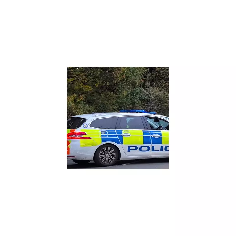 Birmingham's Vehicle Crime Hotspots Revealed: 50 Thefts a Month