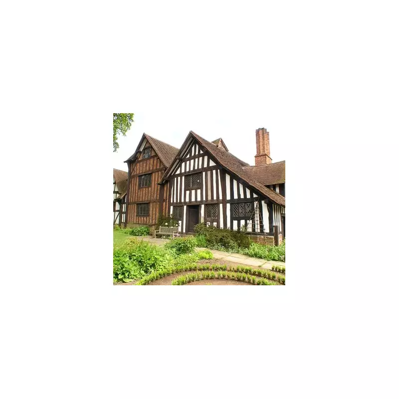 Bournville's Dry Christmas Festival: Festive Fun Without the Booze