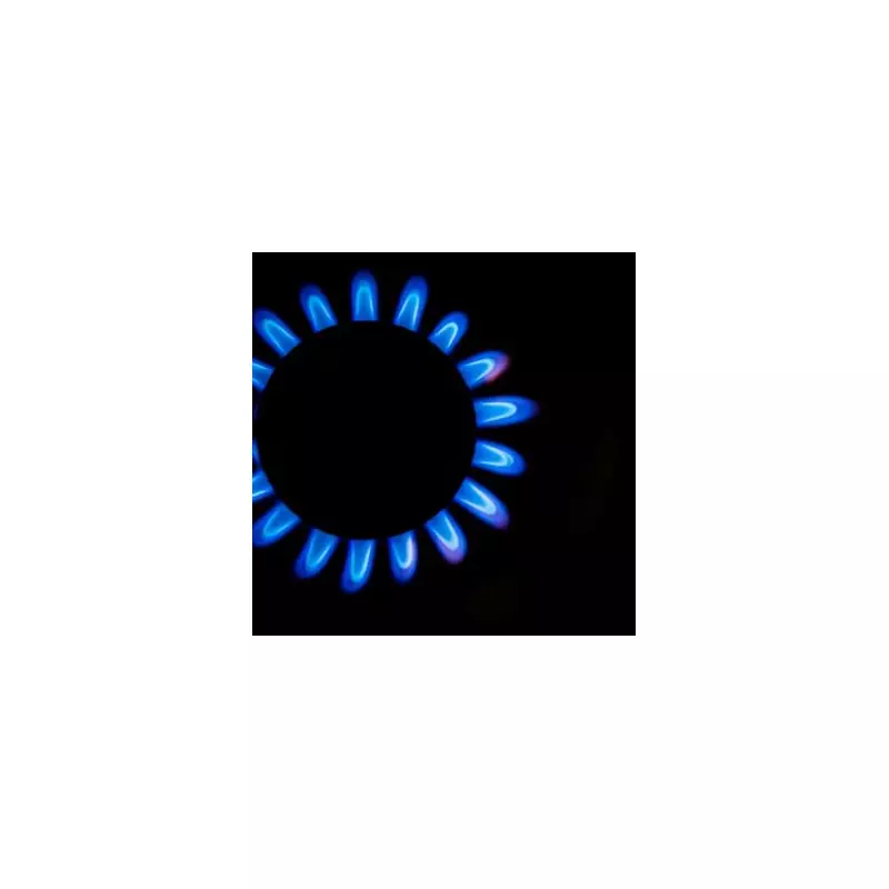 British Gas offers £1,700 energy debt grants - no need to be a customer