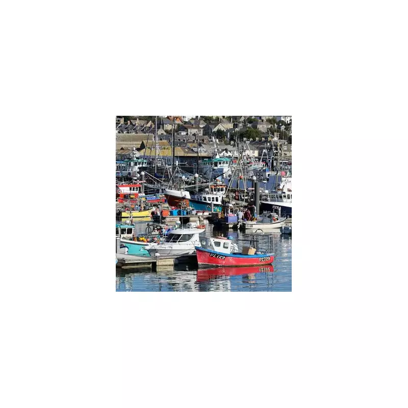 Cornwall's Oldest Fishing Firm Bought by Falkland Islands Company