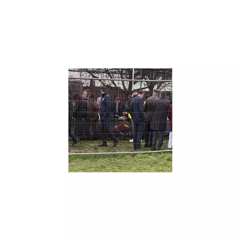 Councillor's Cricket Ball Knocks Out Bystander at Park Facility Launch