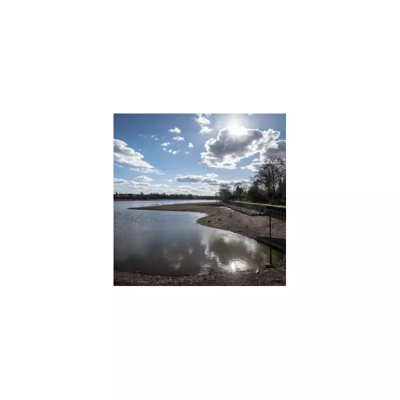 Dog Attack at Earlswood Lakes Leaves Jogger Seriously Injured