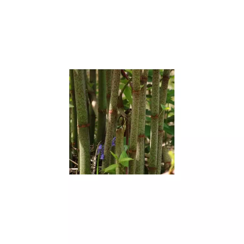 Don't Be 'Ignorant' About This Simple Boiler Setting That Could Save UK Households Hundreds