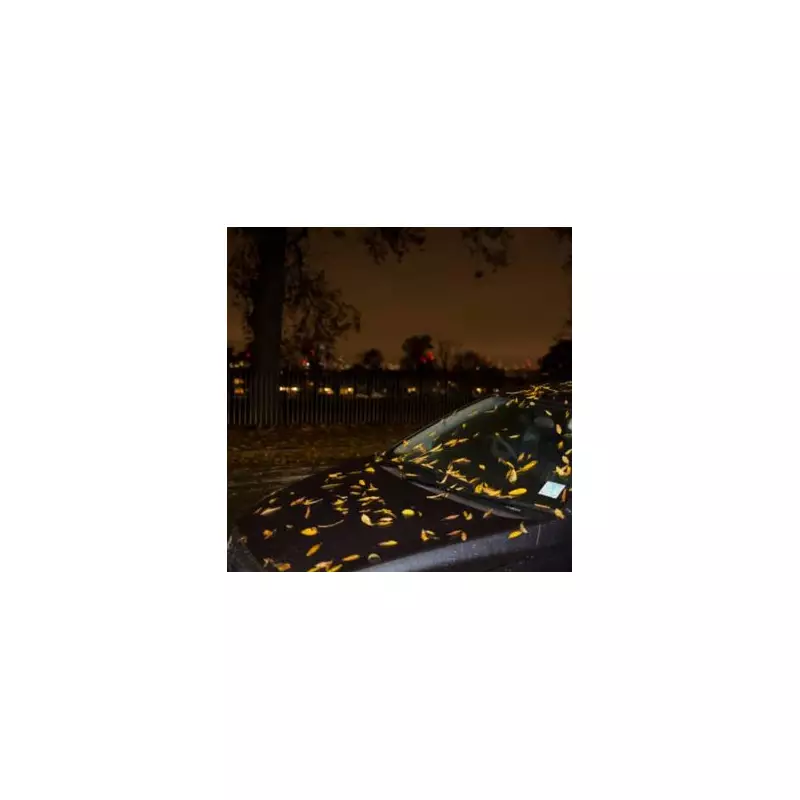 Drivers Risk £1,000 Fine Over Hidden Number Plate Rule Most Don't Know