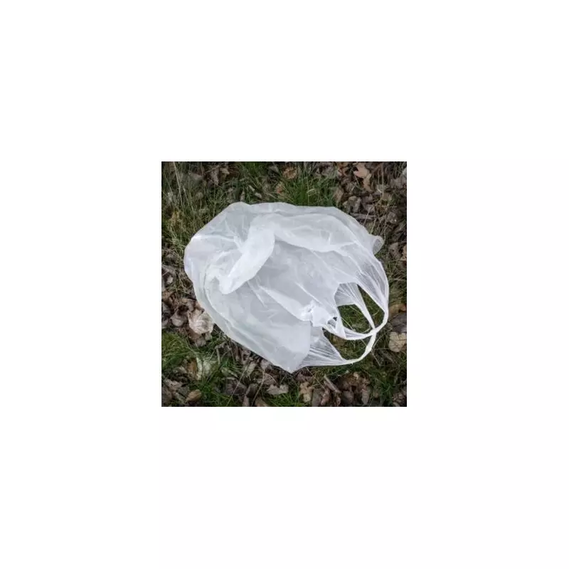 Drivers Urged to Use Carrier Bags on Wing Mirrors Amid UK Frost