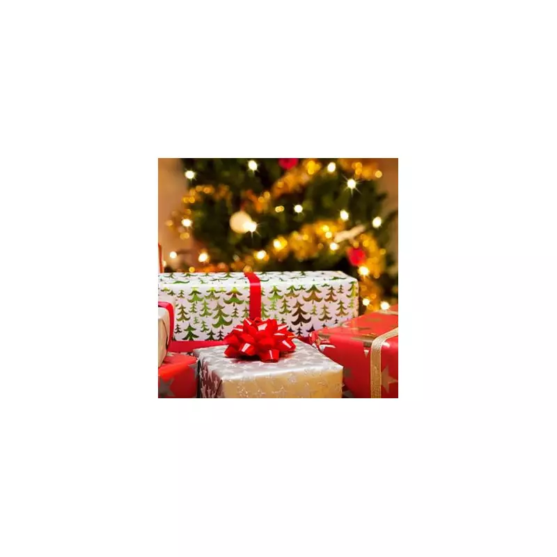 DWP Rejects £10 Christmas Bonus Increase to £165 After Petition