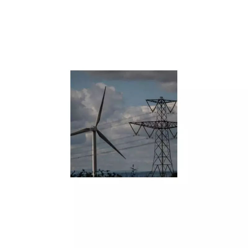 EDF to Give UK Households 8 Hours Free Electricity on Christmas Day