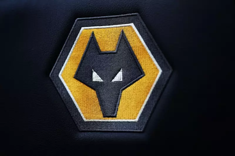 Fabio Silva's Career Turmoil Continues Amid Dortmund Struggles