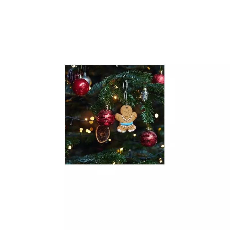 Former Florist's Pro Secrets for a Perfect Christmas Tree