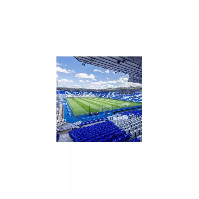 From Pitch to Prison: Ex-Birmingham City Star's Harrowing Journey Through Football's Dark Side