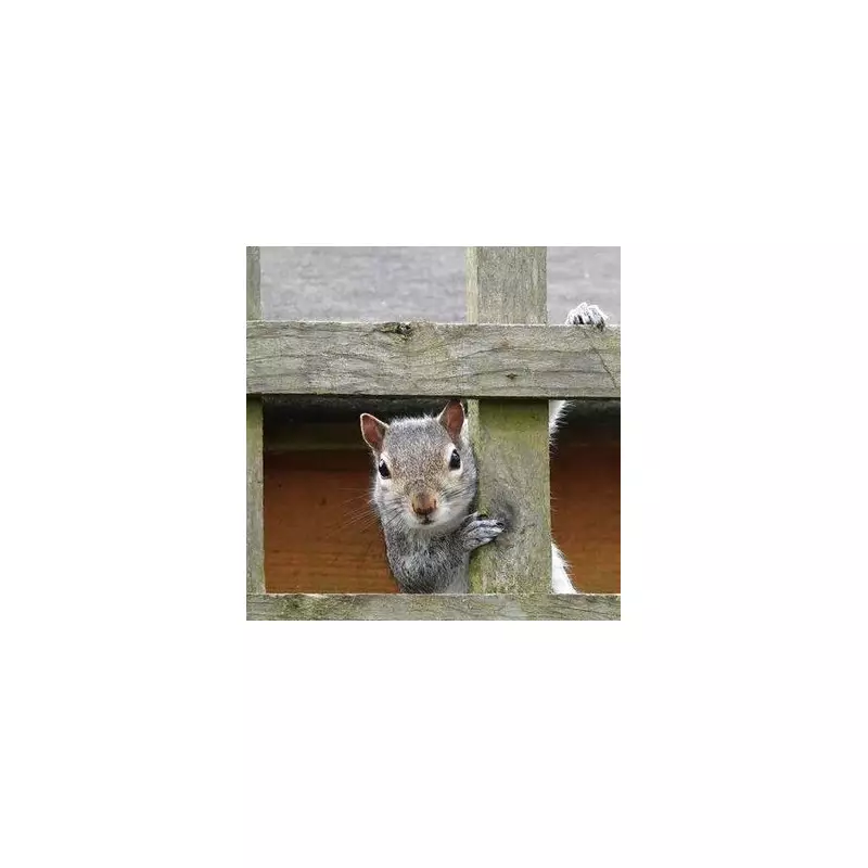 Gardener's Simple Chicken Wire Trick Stops Squirrels Eating Bulbs