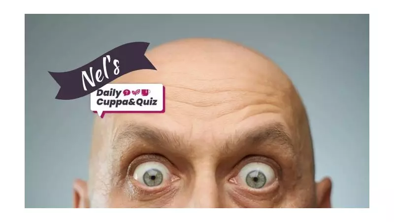 Goslings Cause Traffic Chaos in Somerset Village - The Adorable Reason Behind the Delays