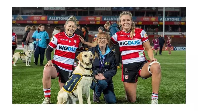 Guide Dog Puppies Form Guard of Honour at Gloucester Rugby Match