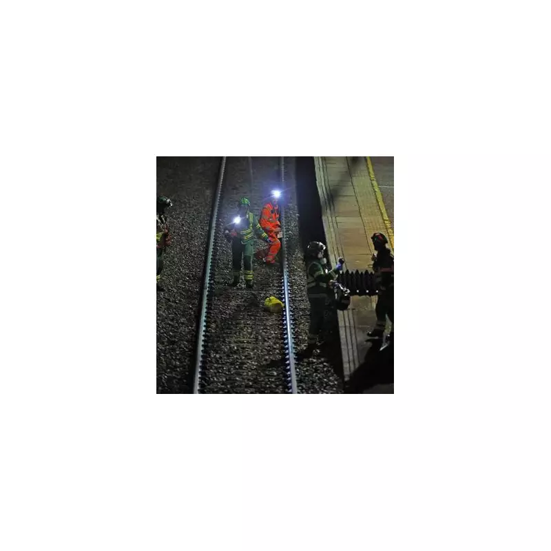 Hero Train Driver's Quick Thinking Prevents Disaster After Hitting Fallen Tree