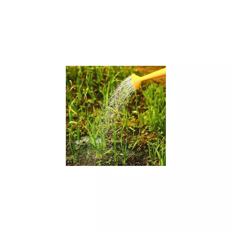 Keep Your Lawn Moss-Free This Winter With One Natural Item