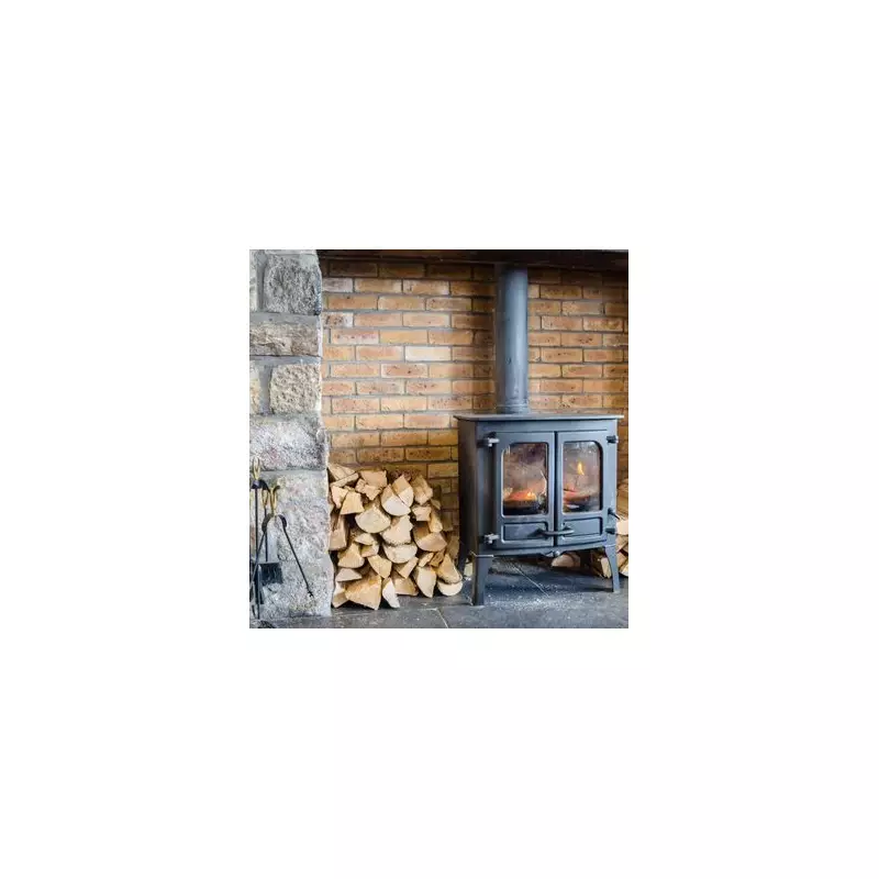 Labour Considers Log Burner Ban Over 2,500 Annual Deaths