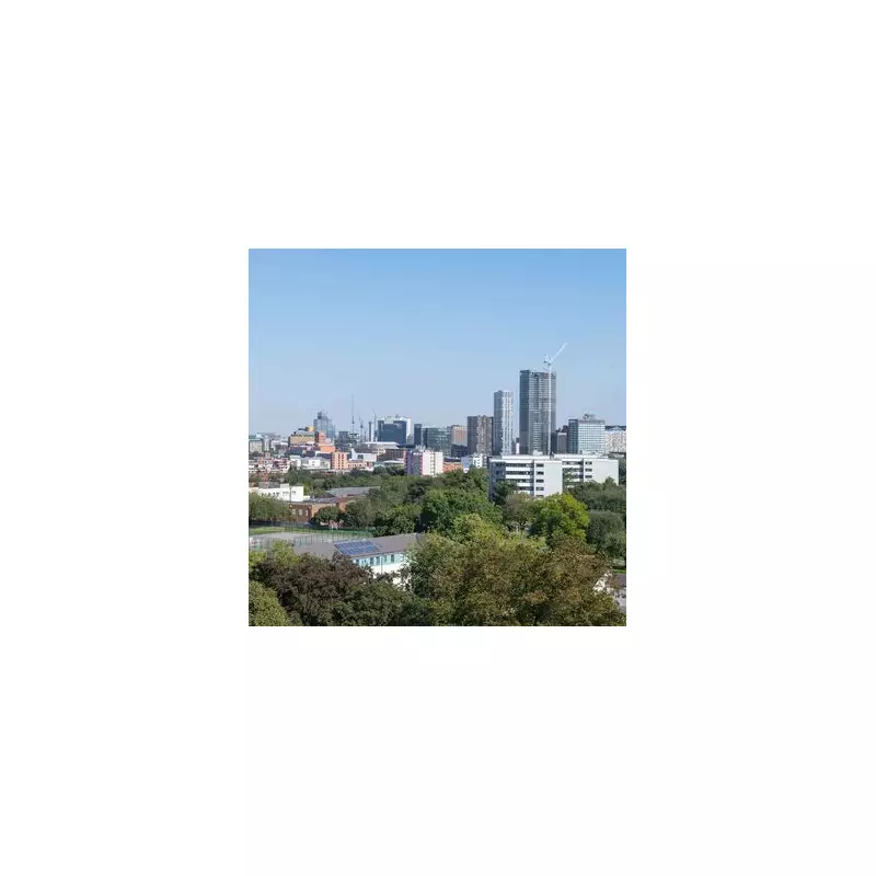 Labour Peer Demands Inquiry into 'Evil Plot' for Antisemitism in Birmingham