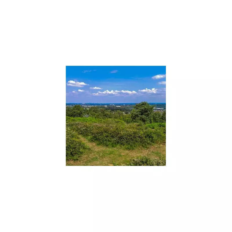 Lickey Hills Golf Club Attack: Dog Injured in Unprovoked Violence