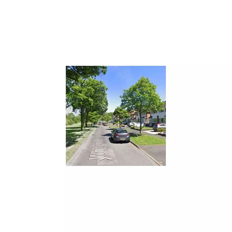 Man's Miracle Escape as Car Flips in Northfield Tree Crash