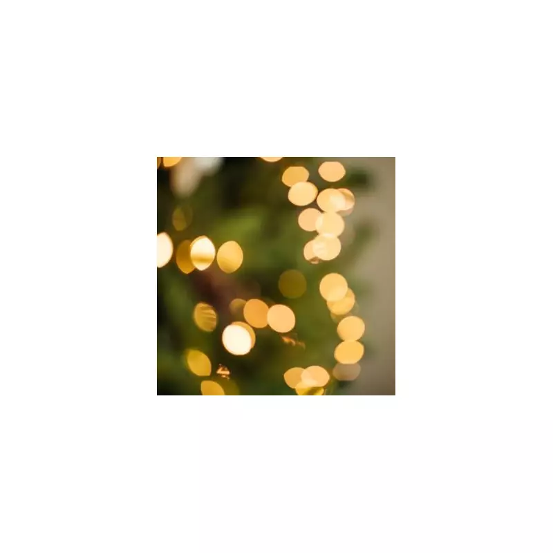 Martin Lewis: Switch to LED Christmas Lights to Slash Energy Bills