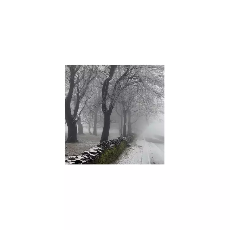 Midlands Braces for 2.6cm Snow and 8.8mm Rain Per Hour