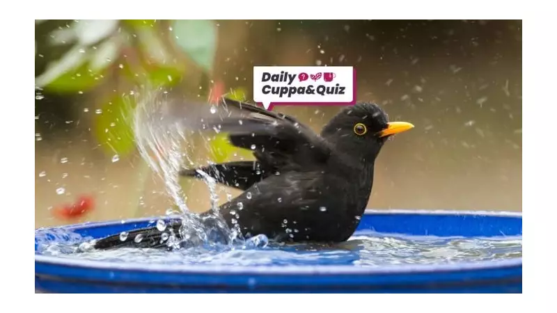 Monday Quiz: Test Your Knowledge on Words, Music & History