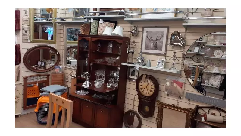 New Cats Protection Pop-Up Shop Opens in Cleveleys for Christmas