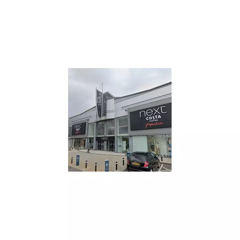 Next's 'Lovely' £80 Black Christmas Tree with 600 Lights Wows Shoppers