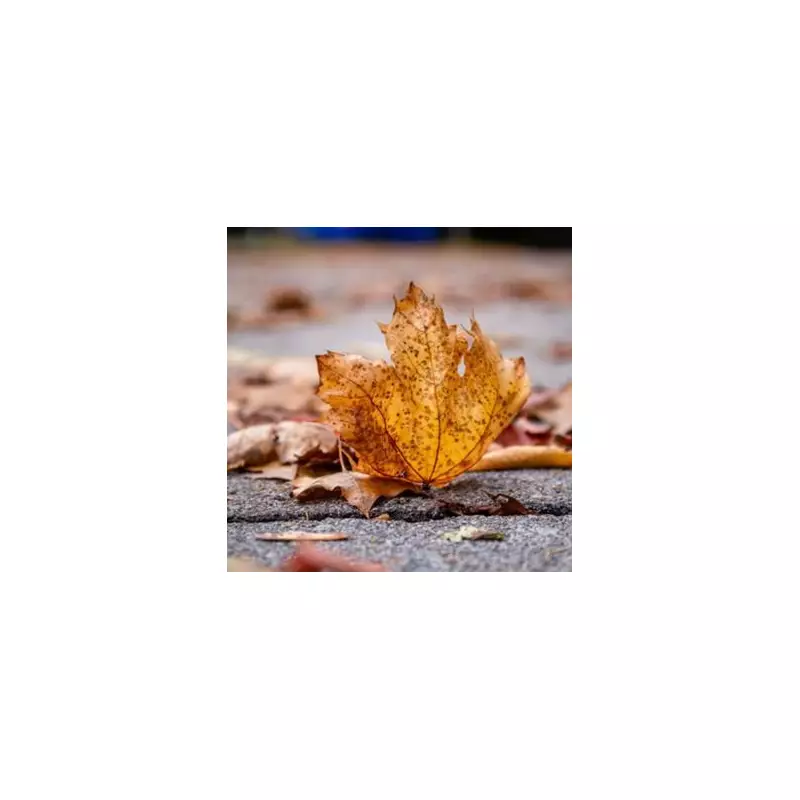 October's Hidden Road Danger: Why Thousands of UK Drivers Are Facing Unexpected Fines