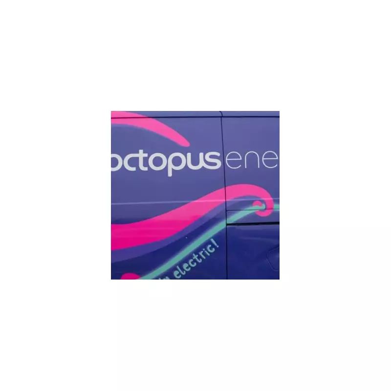 Octopus Energy's £145 Heating Tip: Set Your Thermostat & Save