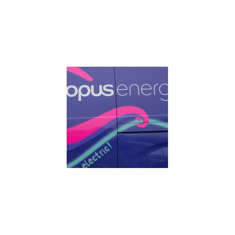 Octopus Energy's Pink Friday Offers Free Treats and Electric Cars