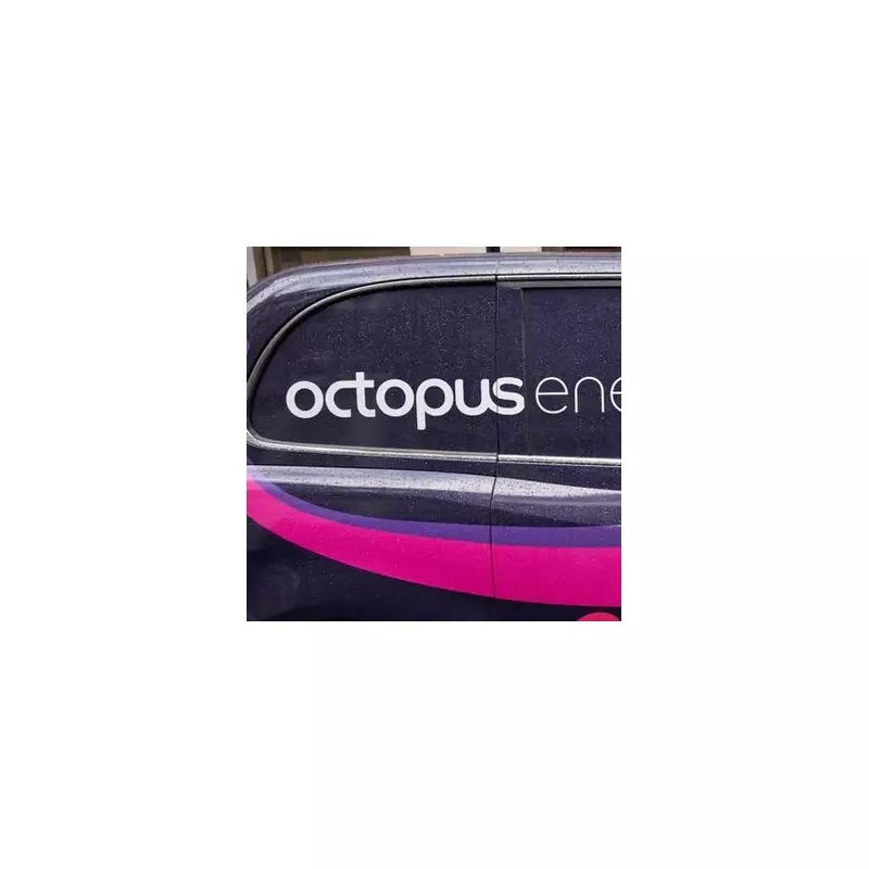 Octopus Energy's Zero Bills: French Homes Get Free Energy for 5 Years