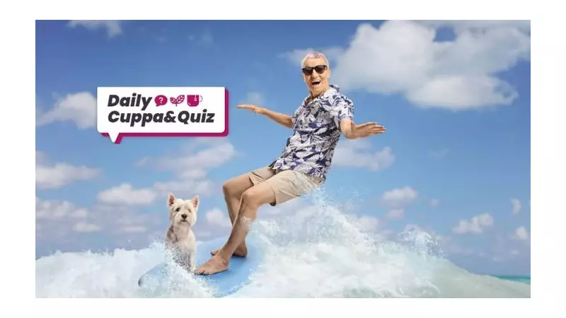 Paws for Thought: Are We Really Understanding Our Canine Companions?