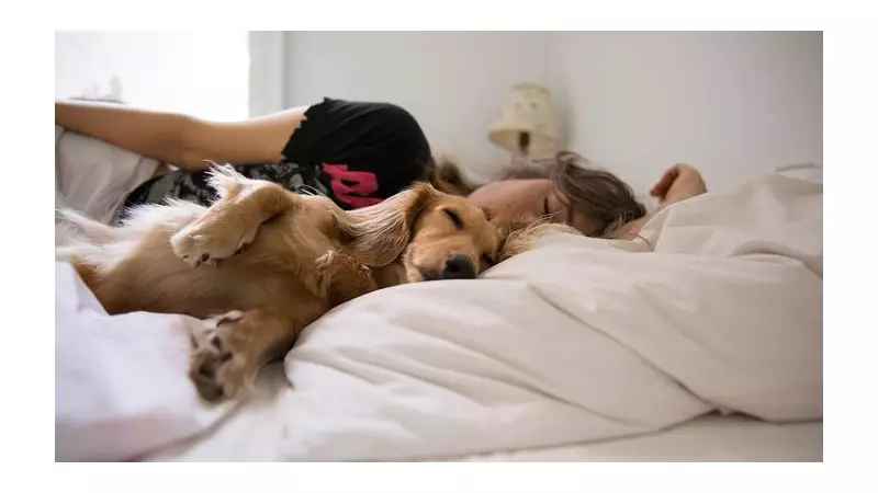 Paws for Thought: The Surprising Truth About Sleeping With Your Pets