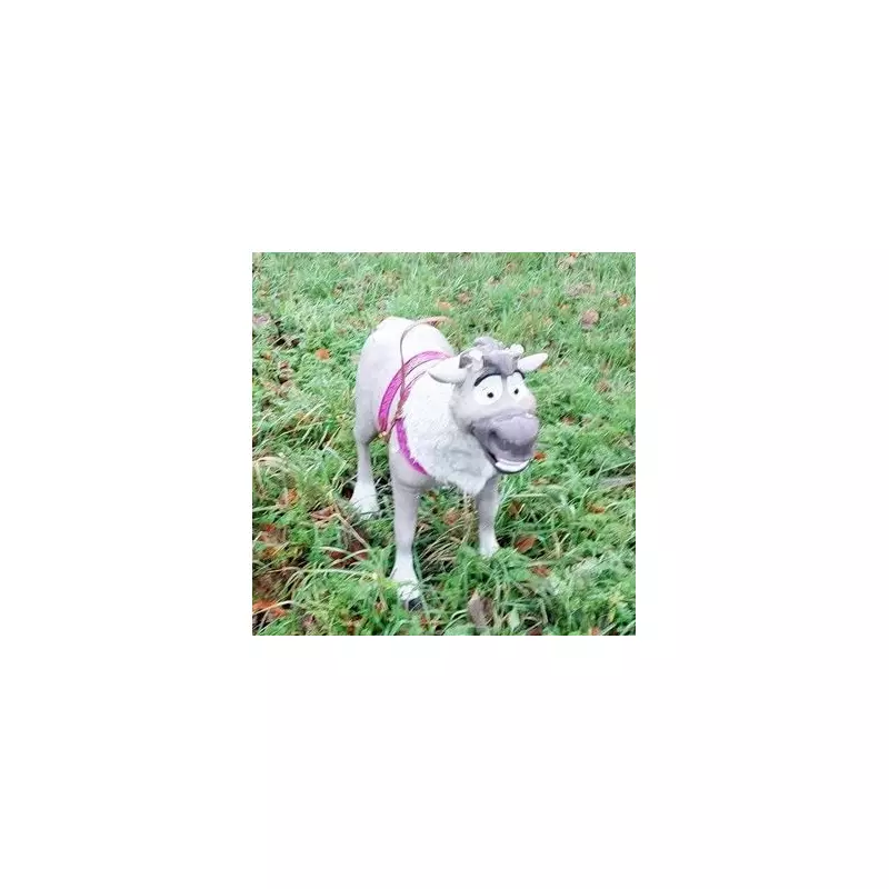 Police Find Frozen's Sven Toy After 'Abandoned Dog' Reports in Derbyshire