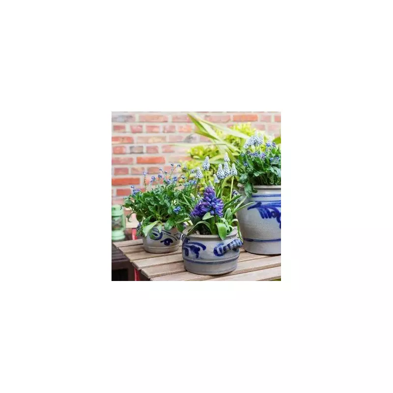 RHS: Do This One November Task to Save Your Plants This Winter