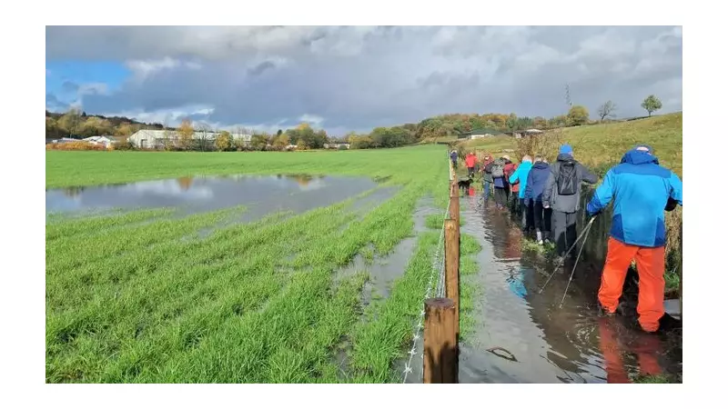 Rossendale Ramblers Embrace Autumn's Golden Glow: Red Kites Soar Over Seasonal Spectacle
