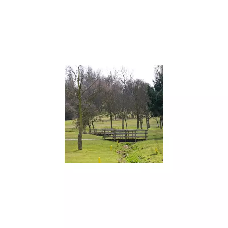 Sandwell Council faces 'grey belt' housing pressure under new Labour plans